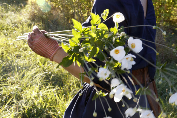 Ariella Chezar on her flower farm -- so pretty!!