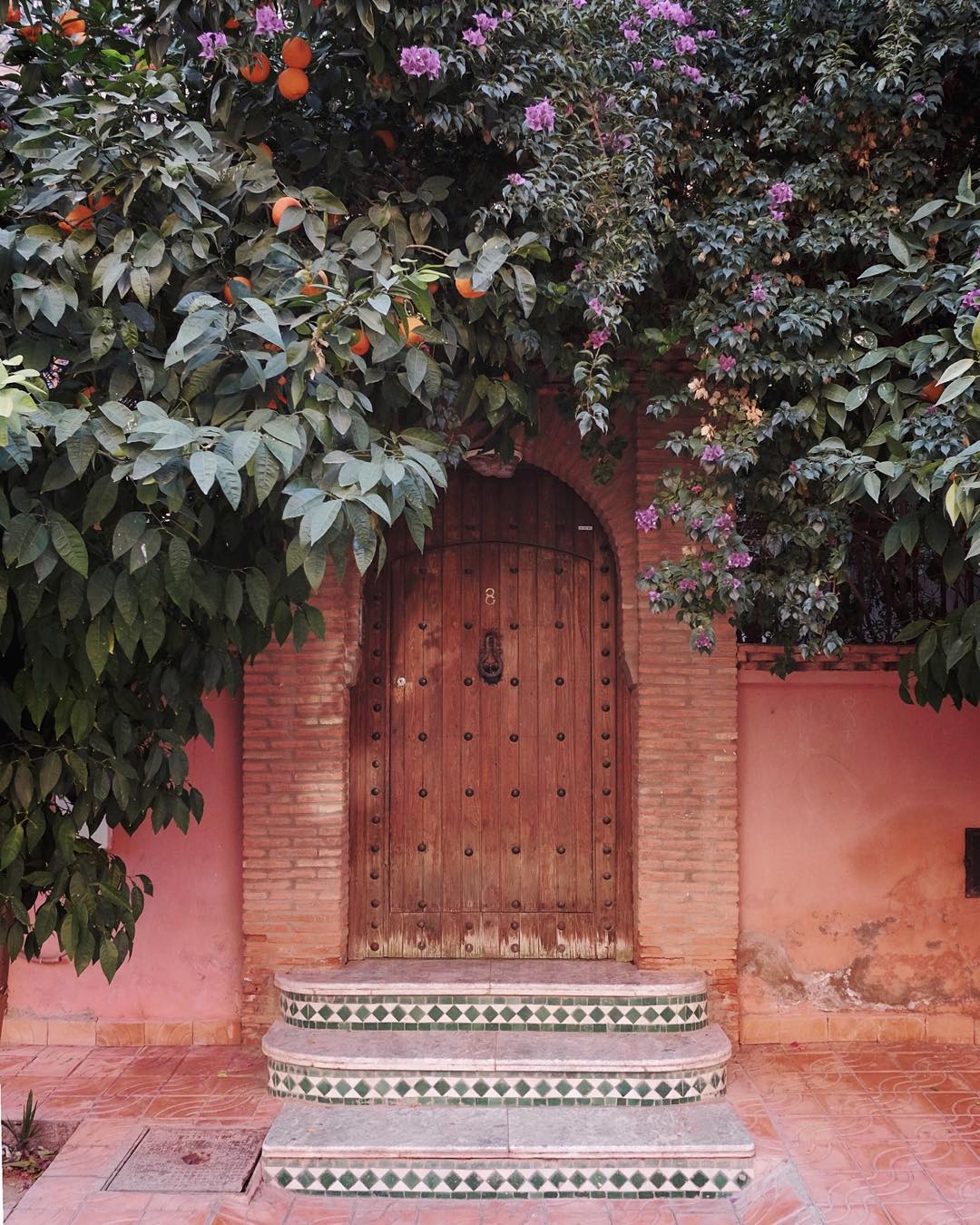 morocco, beautiful door with flowers