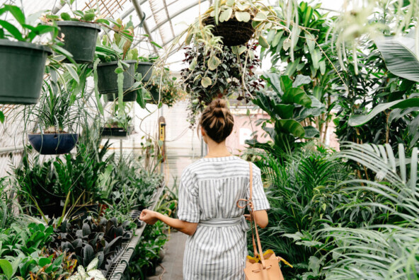 Plant Shopping Tips from East Austin Succulents in a Striped Wrap Dress