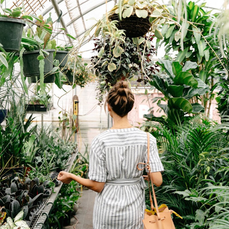 Plant Shopping Tips from East Austin Succulents in a Striped Wrap Dress