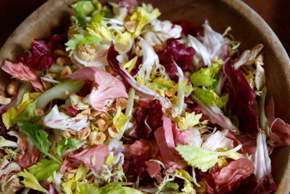chicory salad