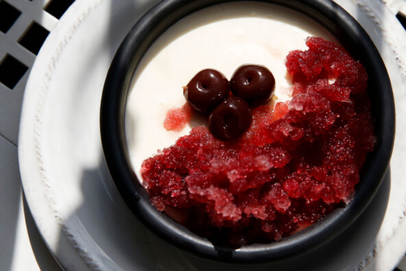 vanilla pomegrante panna cotta
