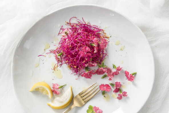 Recipe for a Pink Salad by Libbie Summers