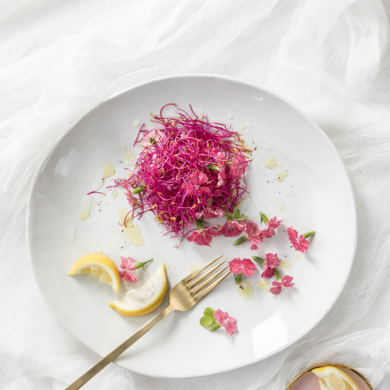 Recipe for a Pink Salad by Libbie Summers