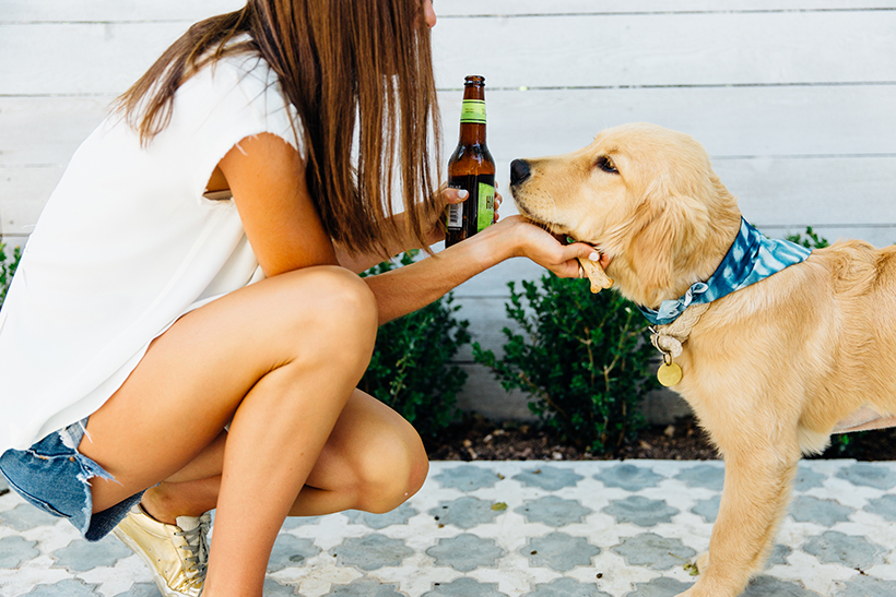 Socialize your puppy (and have fun while you're at it!)