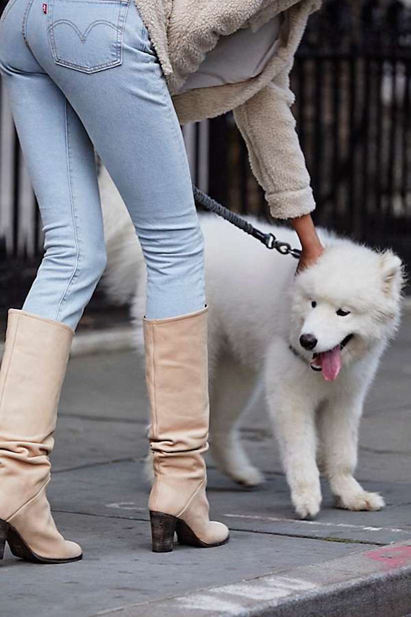 fall boots with a cute puppy