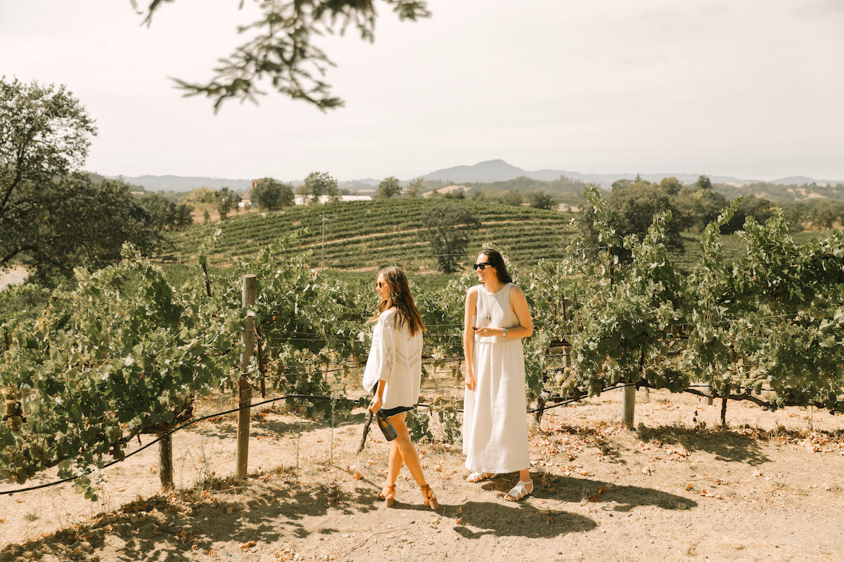 vineyard sonoma valley