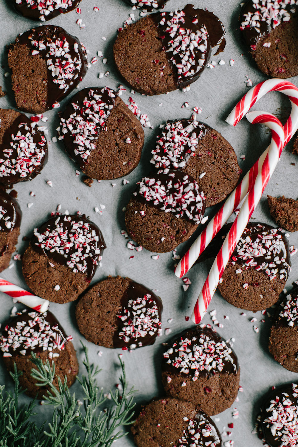 chocolate peppermint holiday cookies
