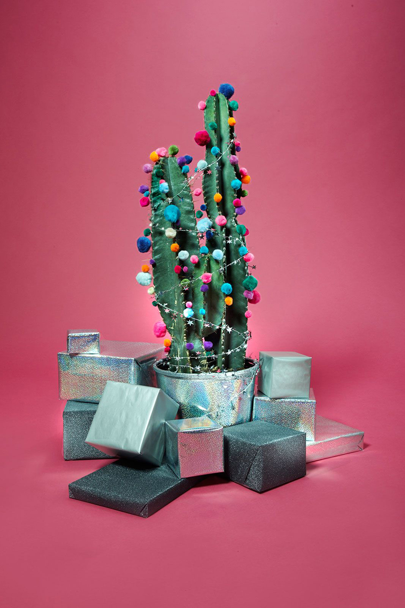 Cactus Christmas Tree by Shana Novak for Refinery29