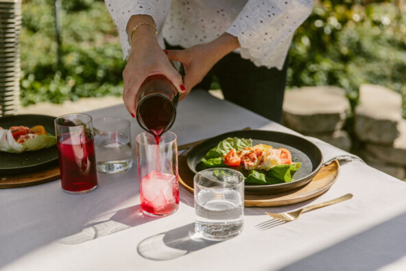 hibiscus spritzers