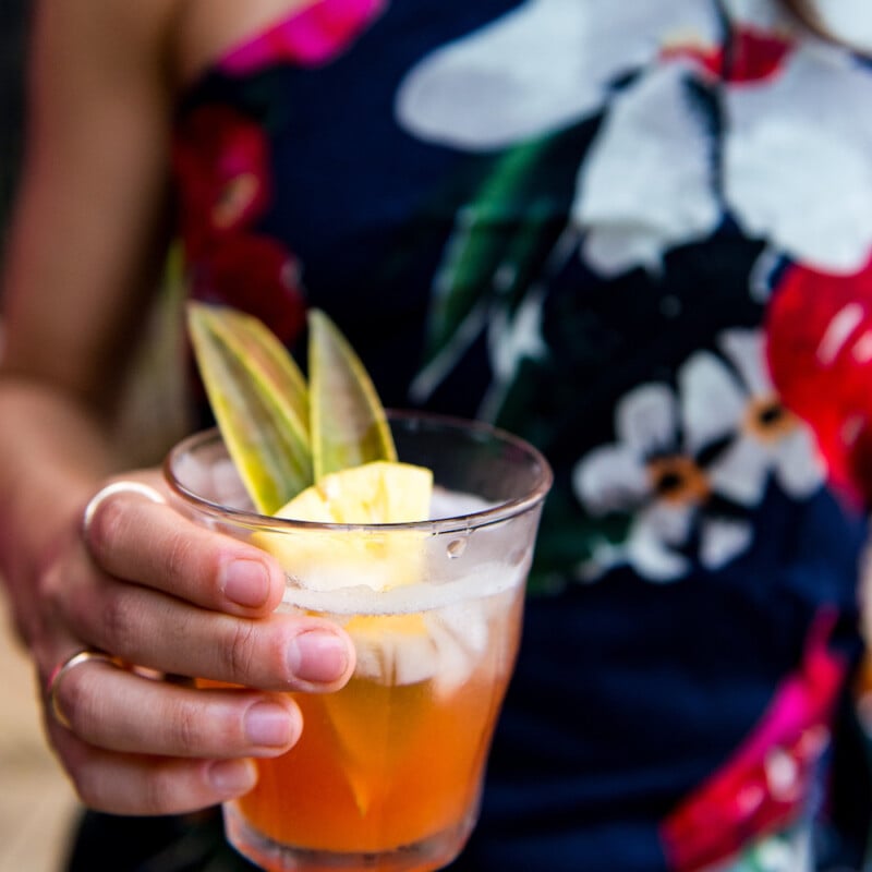 the sea bird cocktail - the perfect summer cocktail recipe