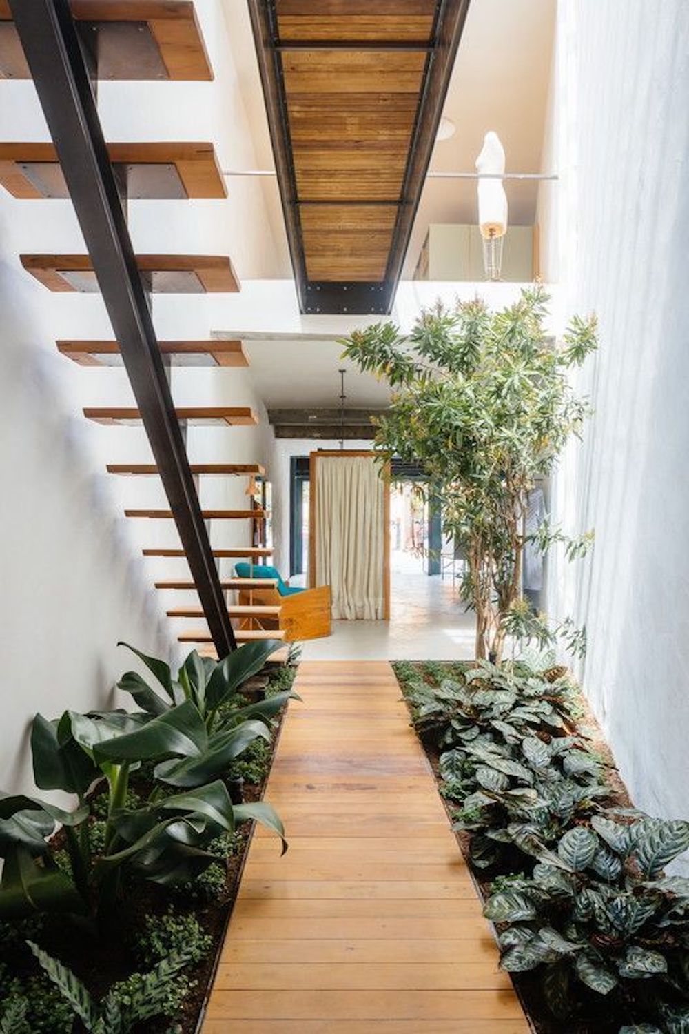 indoor garden walkway