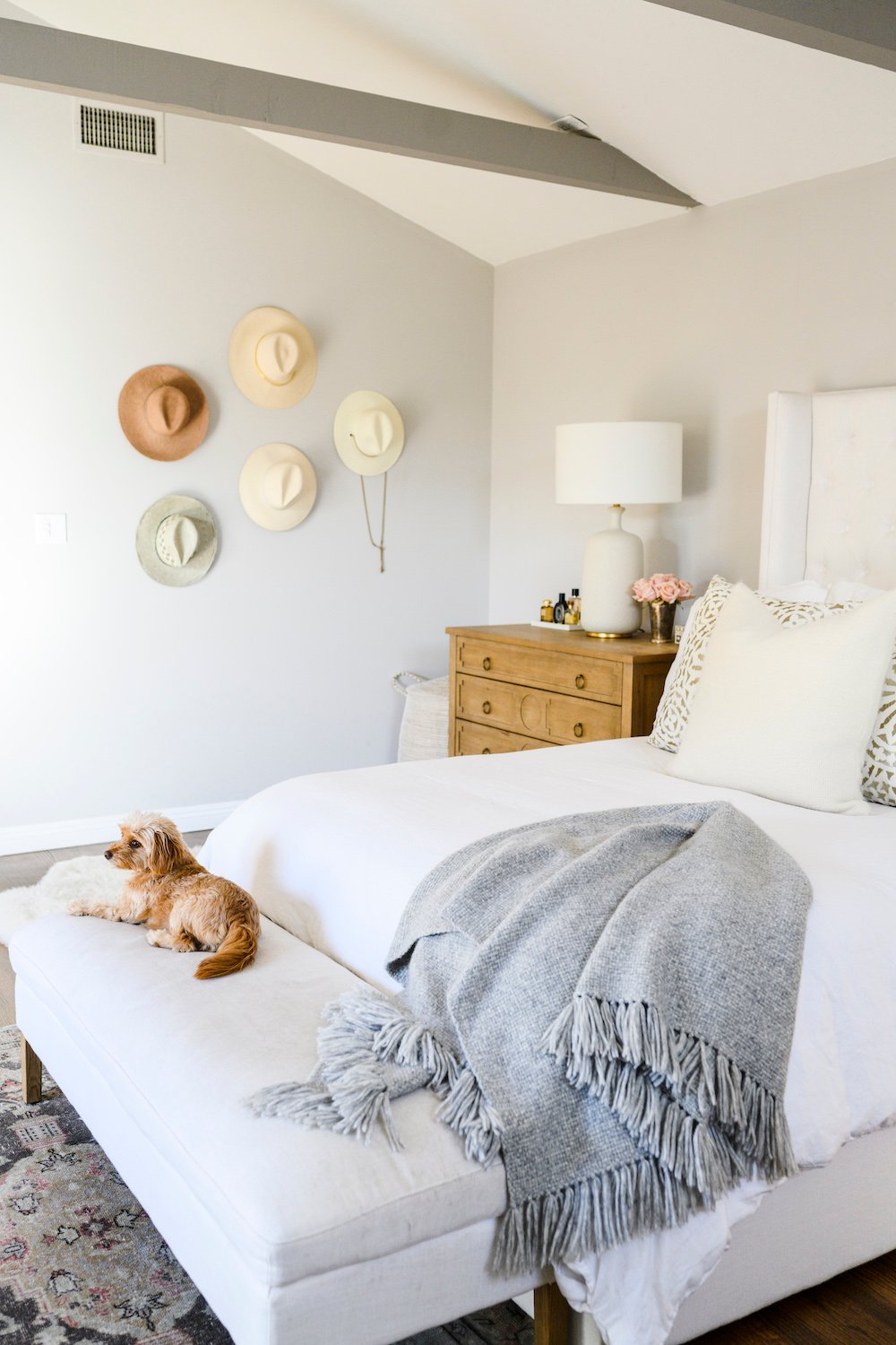 neutral room, bedroom, master bedroom, dog, hats