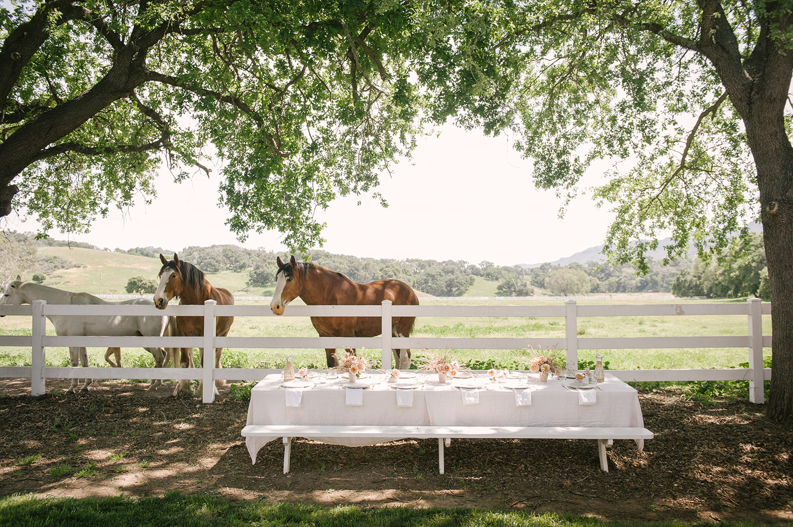 table setup outside on horse farm