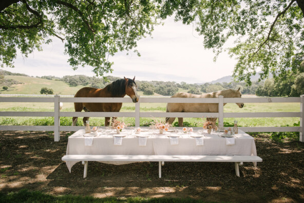 Jenni Kayne Retreat, dinner table, horses, ranch