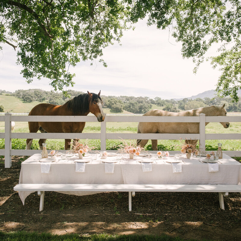 Jenni Kayne Retreat, dinner table, horses, ranch