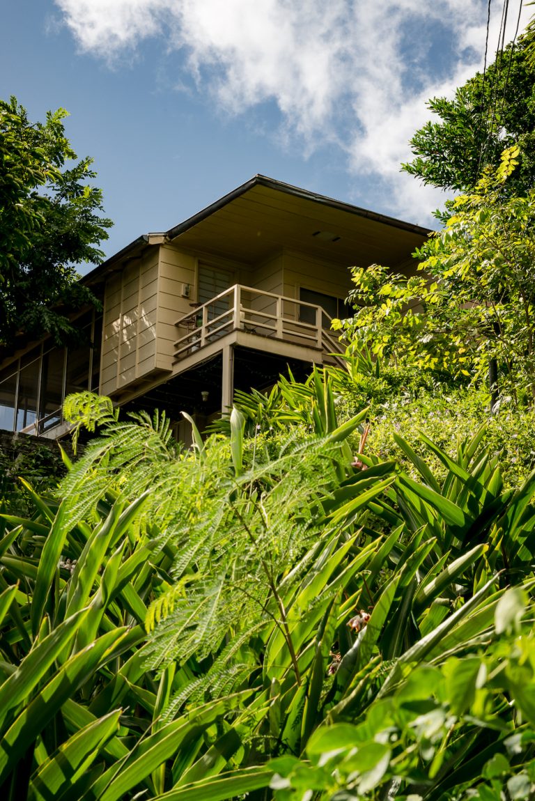 This Artists Treehouse Is The Definition Of Tropical Modernism