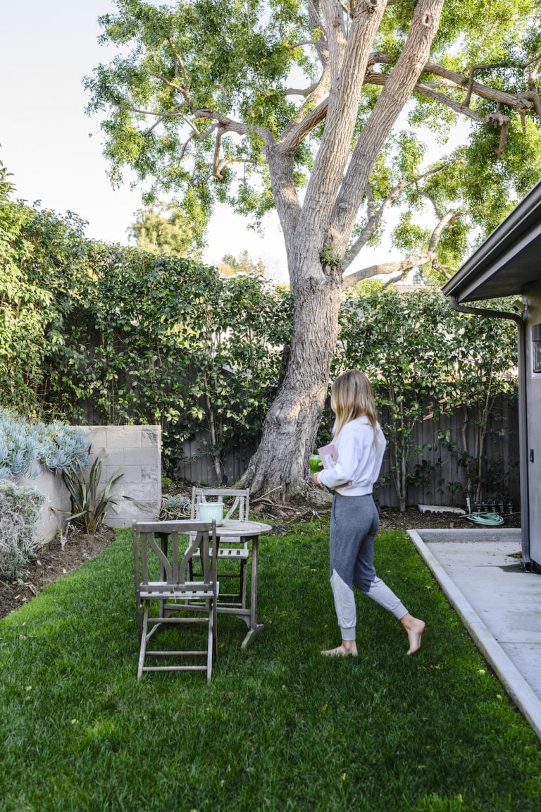 greenery, outdoor, lauren scruggs, outdoor table, green juice