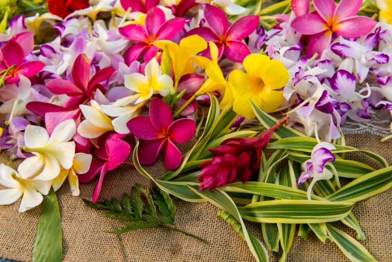How These North Shore Locals Make the Most Beautiful Leis in Hawaii ...