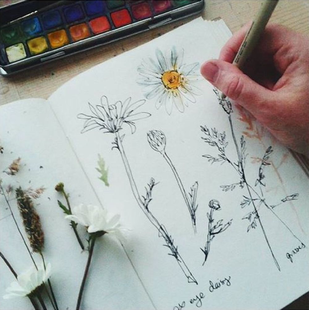 nature journaling, journal, writing, drawing, art