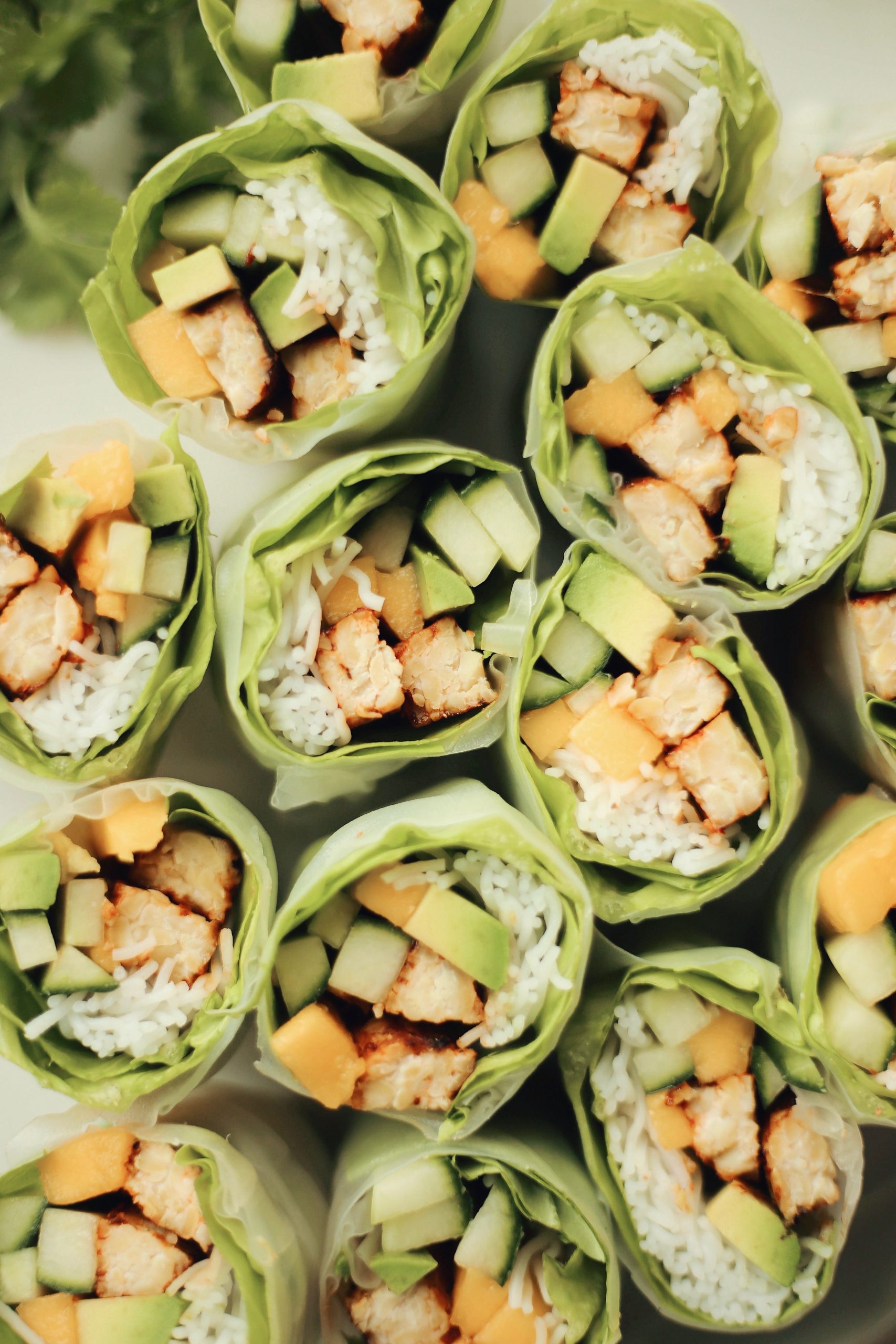 honey sriracha marinated tempeh rice noodle spring rolls with cucumber, mango, and avocado_2024 wellness trends predictions