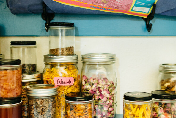 flowers and herbs for garnish in loria stern's kitchen