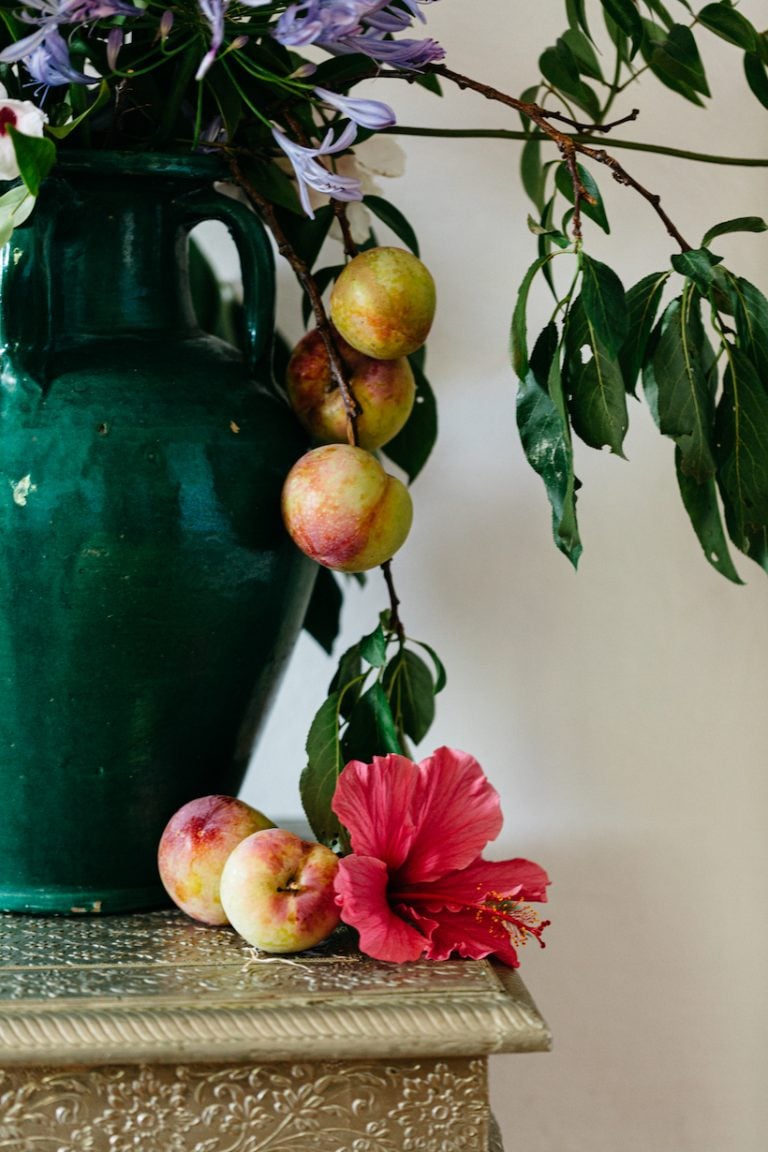 fruit and flower still life at loria stern dinner party