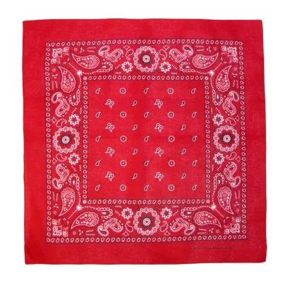 cotton paisley bandana