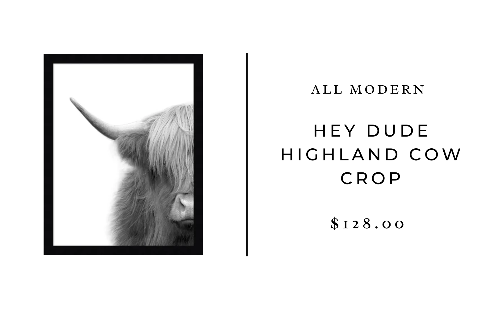 highland cow print from all modern
