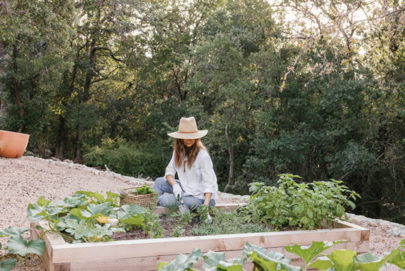 Camille Styles vegetable garden.