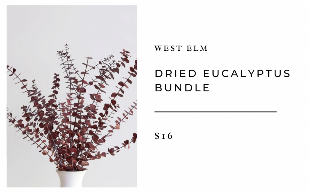 west elm dried eucalyptus branch