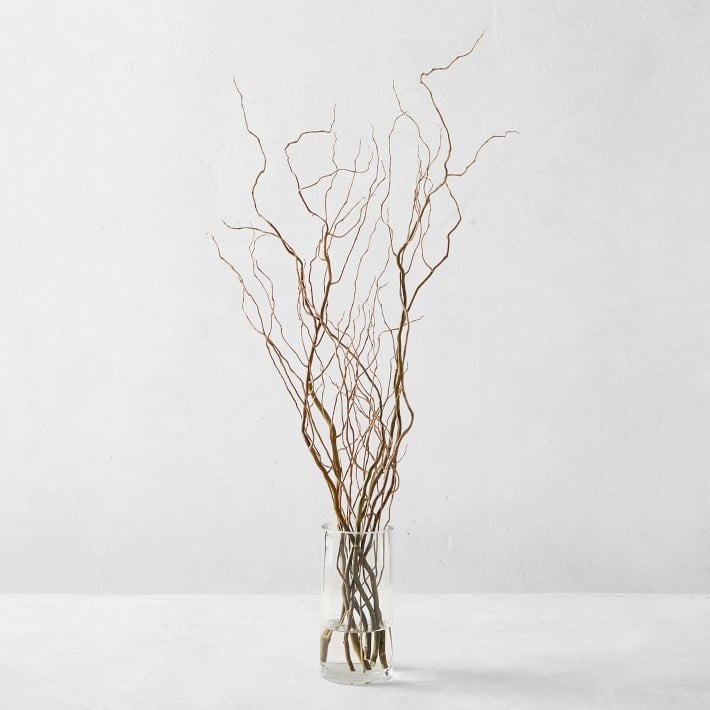 Williams-Sonoma Curly Willow Branches