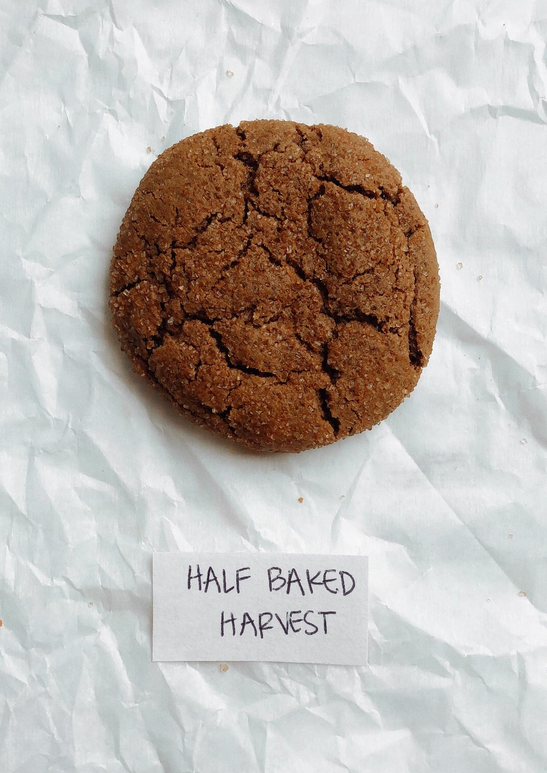 the best of bake off challenge, the best molasses ginger cookie for the holiday season