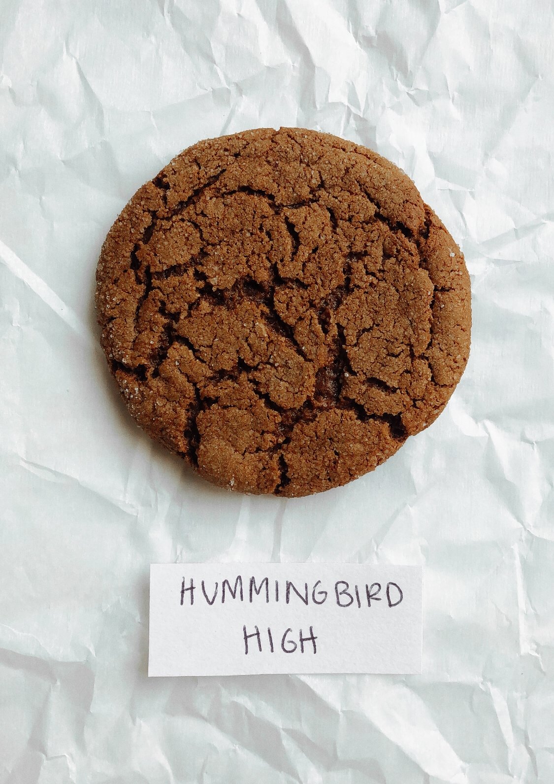 the best of bake off challenge, the best molasses ginger cookie for the holiday season
