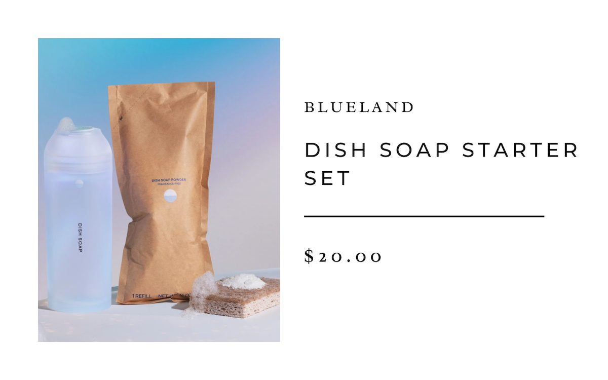 Blueland Dish Soap Starter Set Camille Styles