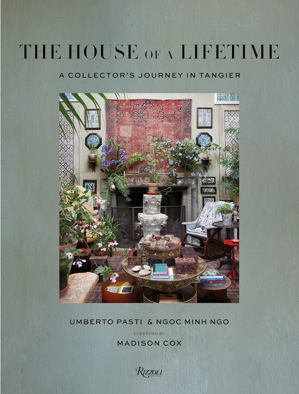 The House of a Lifetime book