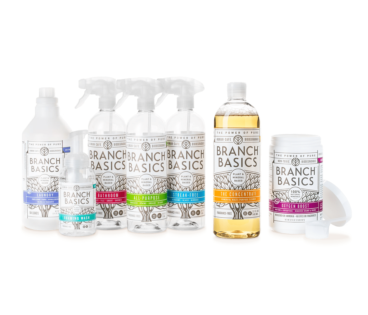 Non-Toxic Cleaning Products  What Professionals Know But Won't