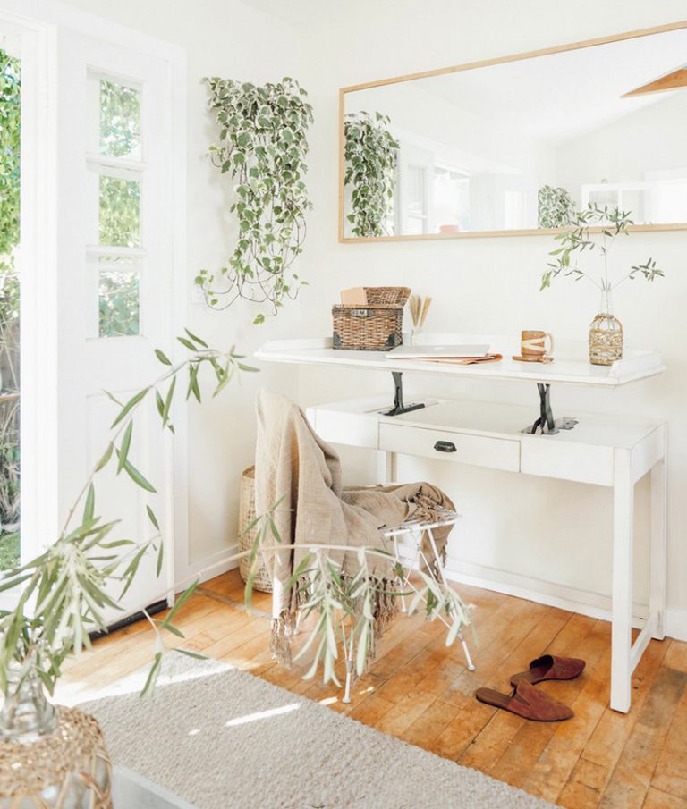 house plants in home office