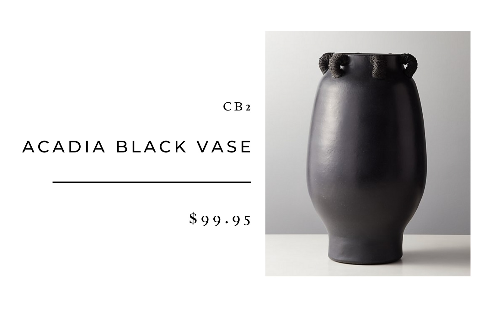 CB2 Acadia Black Vase