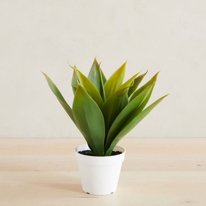 20 Faux Houseplants That Are as Realistic as They Are Stunning