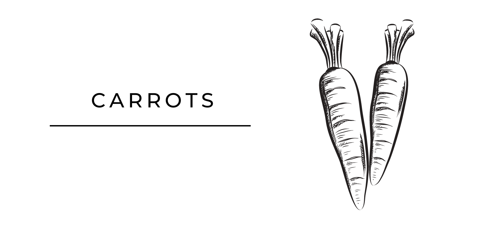 Seasonal Produce Carrots