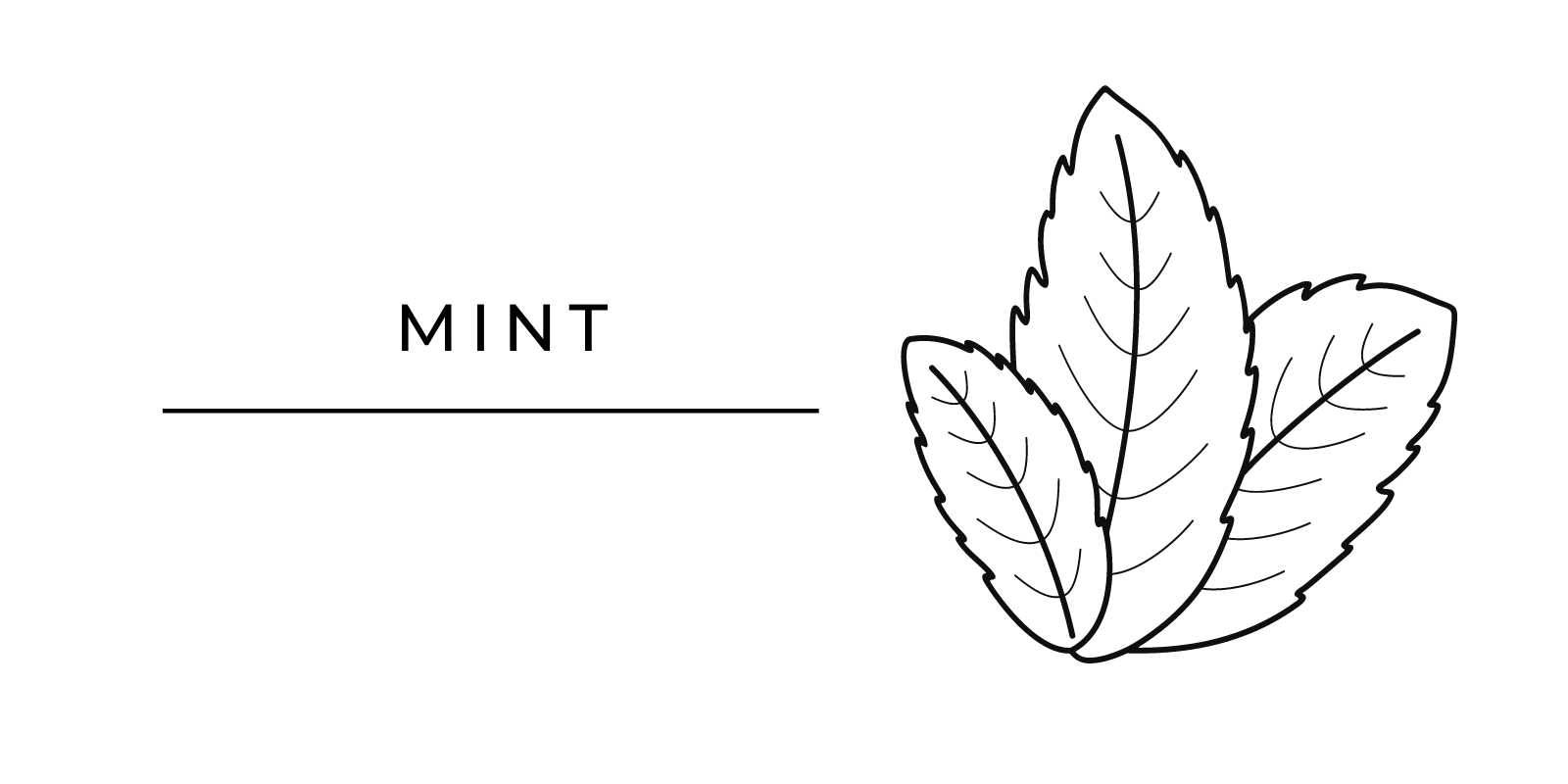 Seasonal Produce Mint