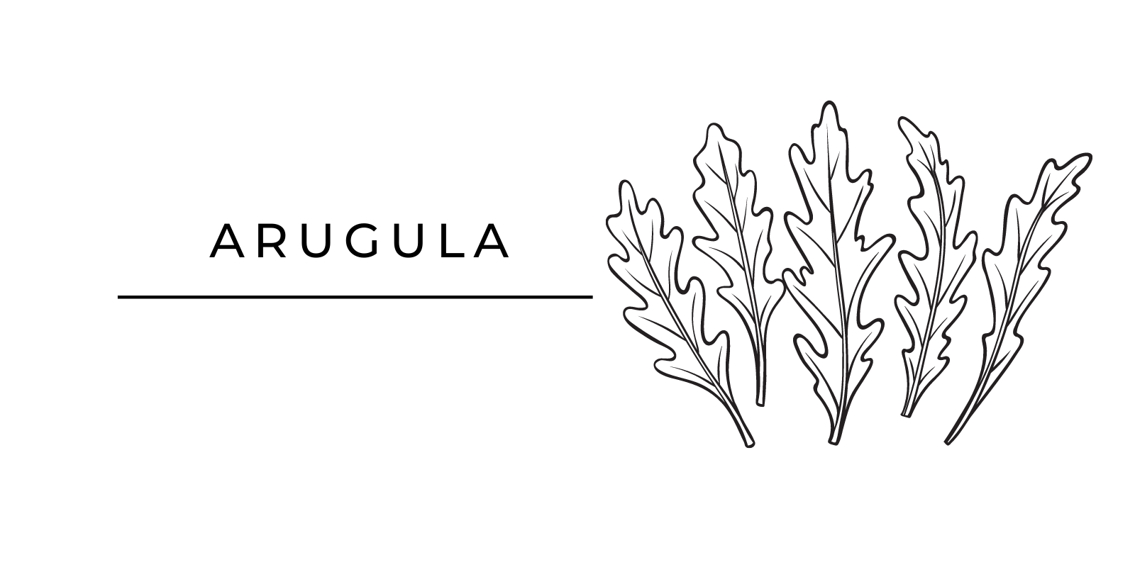 Seasonal Produce Arugula