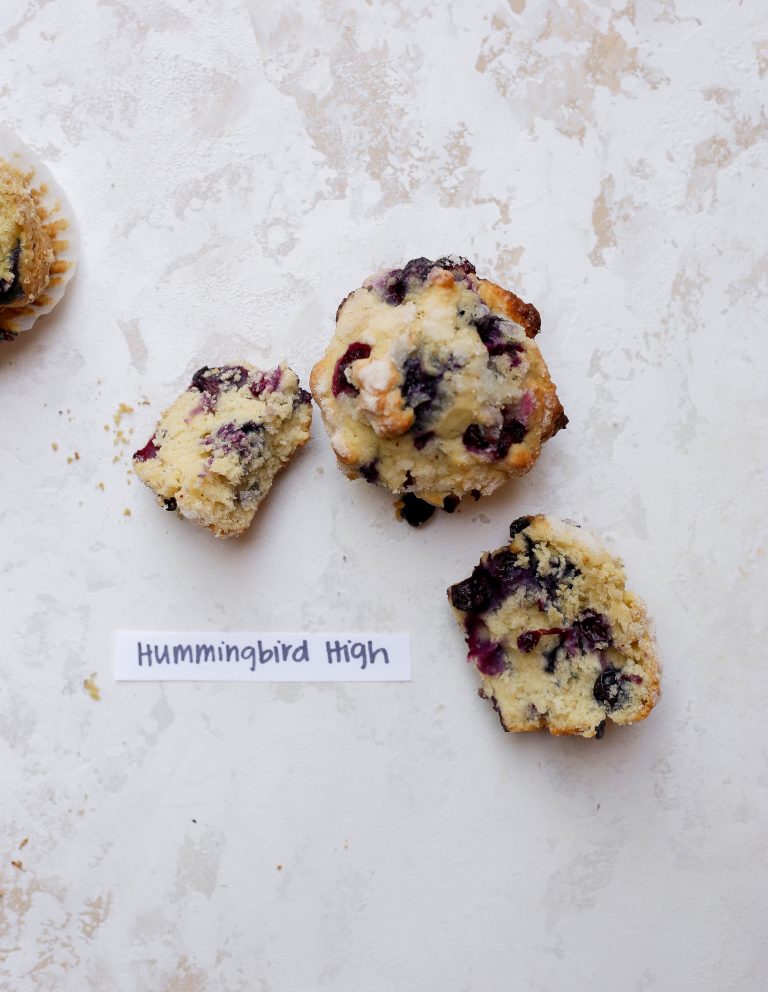 Blueberry Muffin Recipe Taste Off - Which Blueberry Muffin Recipe Is The Best On The Internet?