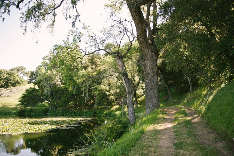 hike a new trail - summer bucket list ideas