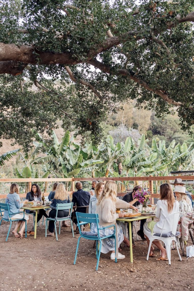 guests seated at the table for a summer dinner party at Plumcot Farm in Malibu