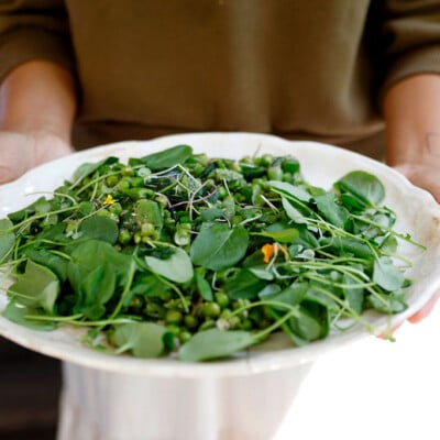 pea salad with mint