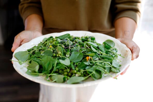 pea salad with mint