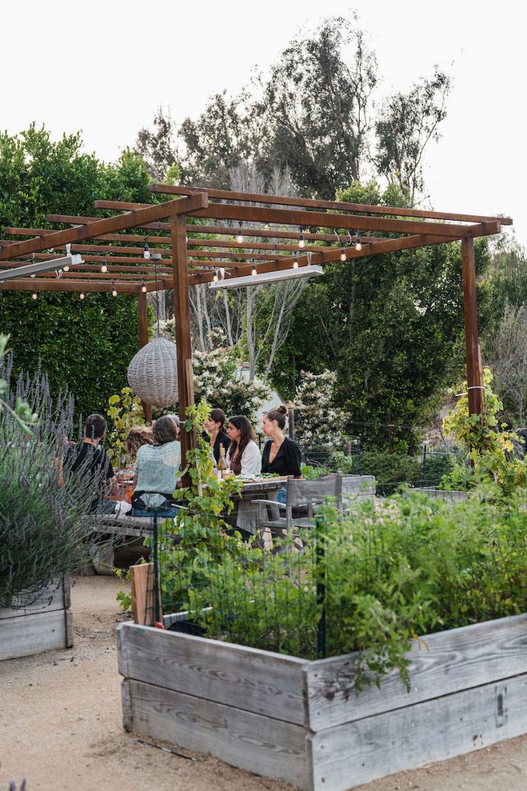 beautiful backyard with covered terrace and pizza oven - helene henderson home - malibu farm