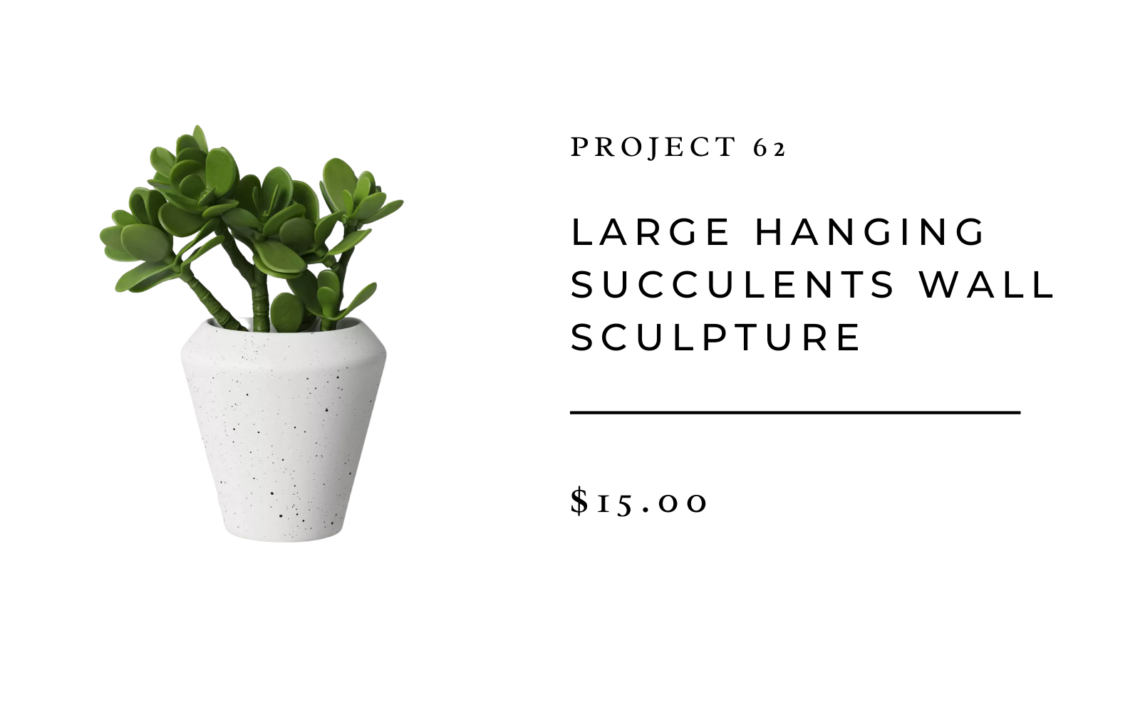 large hanging succulents wall sculpture from target